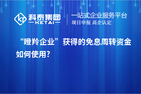 “瞪羚企业”获得的免息周转资金如何使用?