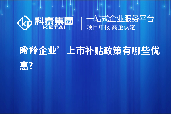 瞪羚企业’上市补贴政策有哪些优惠?