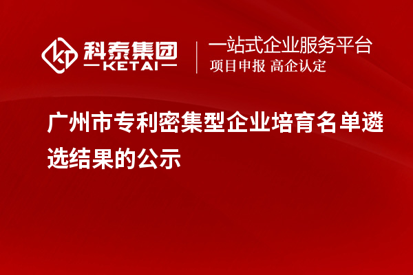 广州市专利密集型企业培育名单遴选结果的公示