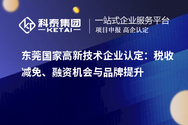 东莞国家
：税收减免、融资机会与品牌提升