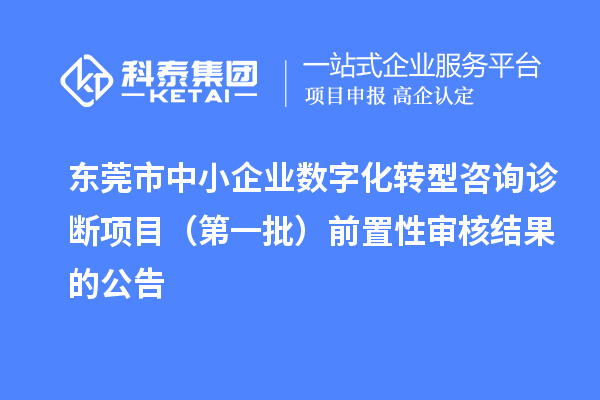 东莞市中小企业数字化转型咨询诊断项目（第一批）前置性审核结果的公告