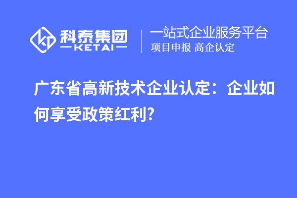 广东省
：企业如何享受政策红利?