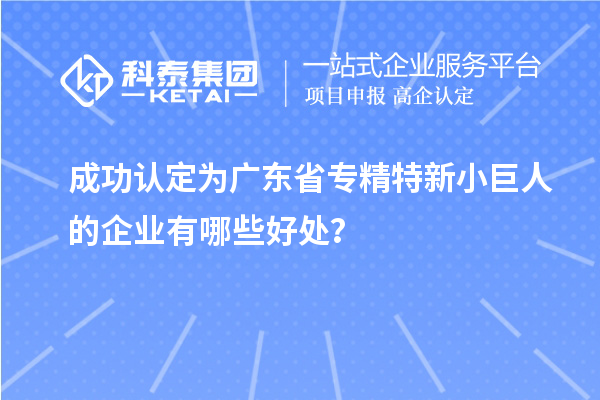 成功认定为广东省专精特新小巨人的企业有哪些好处？