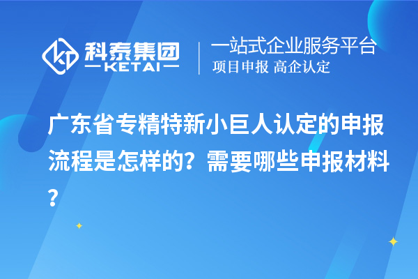 广东省专精特新小巨人认定的申报流程是怎样的？需要哪些申报材料？