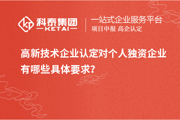 
对个人独资企业有哪些具体要求？