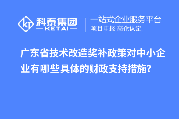 广东省技术改造奖补政策对中小企业有哪些具体的财政支持措施？