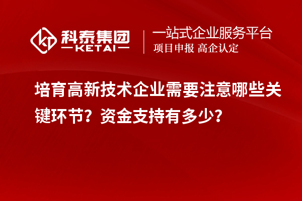 培育高新技术企业需要注意哪些关键环节？资金支持有多少？