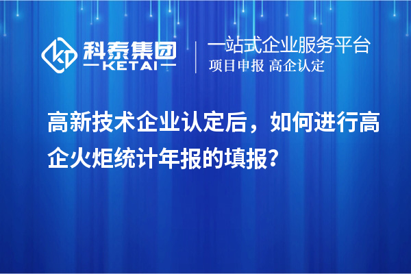 
后，如何进行高企火炬统计年报的填报？