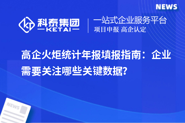 高企火炬统计年报填报指南：企业需要关注哪些关键数据？