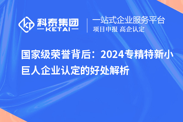 国家级荣誉背后：2024专精特新小巨人企业认定的好处解析