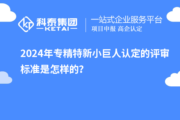 2024年专精特新小巨人认定的评审标准是怎样的？