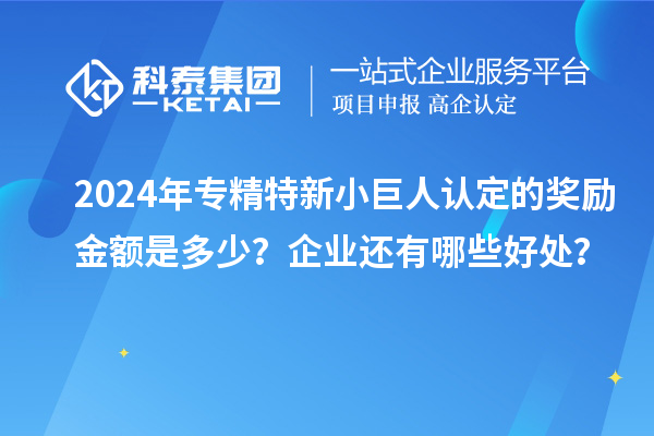 2024年专精特新小巨人认定的奖励金额是多少？企业还有哪些好处？