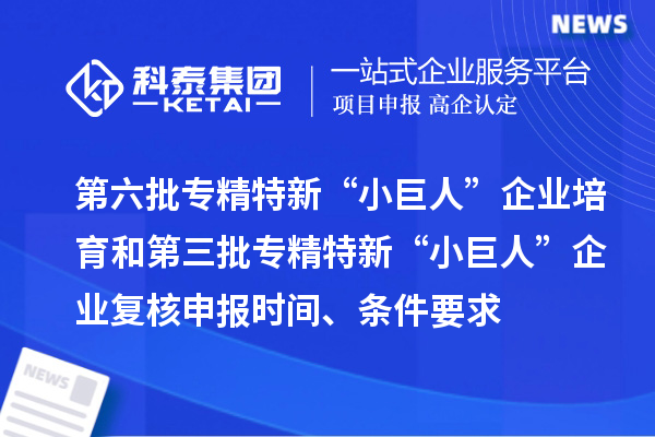 第六批专精特新“小巨人”企业培育和第三批专精特新“小巨人”企业复核申报时间、条件要求、补助奖励