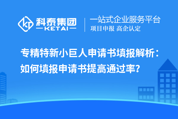 专精特新小巨人申请书填报解析：如何填报申请书提高通过率？