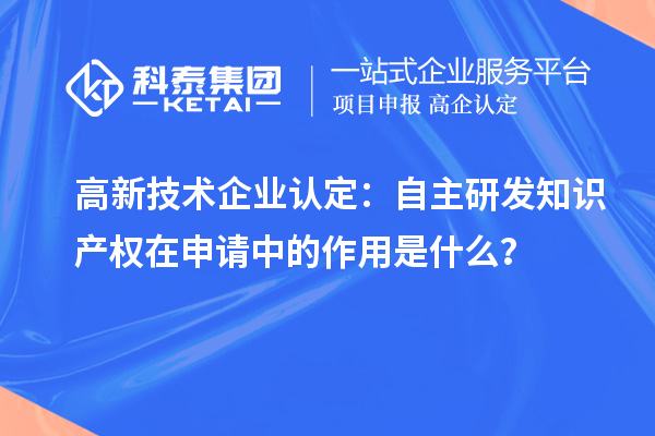 
：自主研发知识产权在申请中的作用是什么？