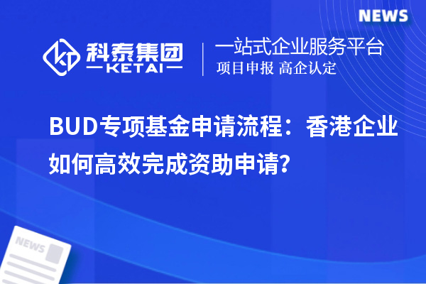 BUD专项基金申请流程：香港企业如何高效完成资助申请？