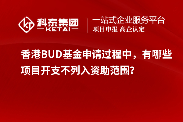 香港BUD基金申请过程中，有哪些项目开支不列入资助范围？