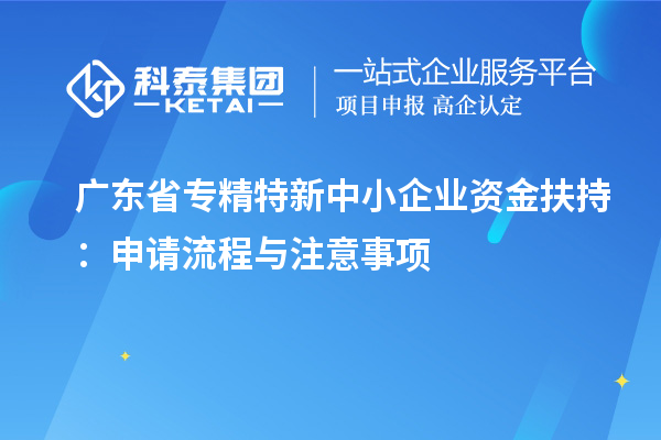 广东省专精特新中小企业资金扶持：申请流程与注意事项