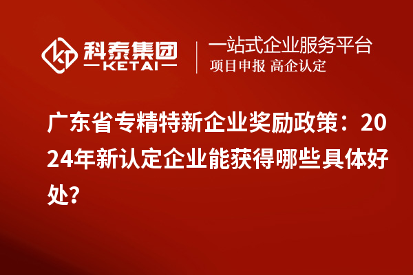 广东省专精特新企业奖励政策：2024年新认定企业能获得哪些具体好处？