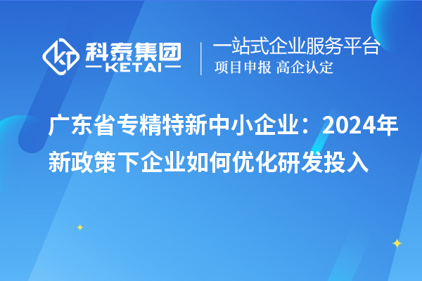 广东省专精特新中小企业：2024年新政策下企业如何优化研发投入