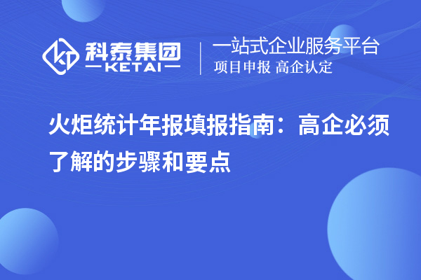 火炬统计年报填报指南：高企必须了解的步骤和要点