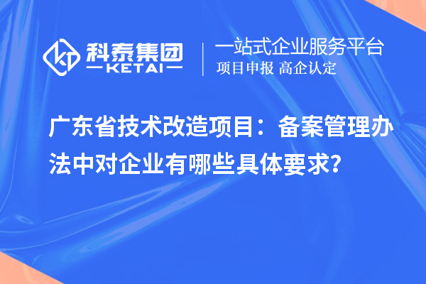 广东省技术改造项目：备案管理办法中对企业有哪些具体要求？