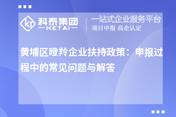 黄埔区瞪羚企业扶持政策：申报过程中的常见问题与解答