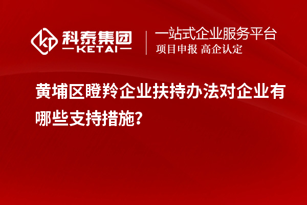 黄埔区瞪羚企业扶持办法对企业有哪些支持措施？