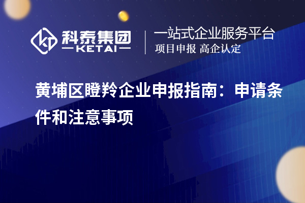 黄埔区瞪羚企业申报指南：申请条件和注意事项