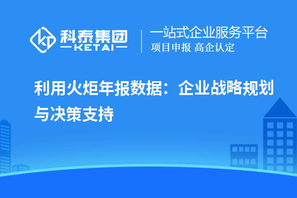 利用火炬年报数据：企业战略规划与决策支持