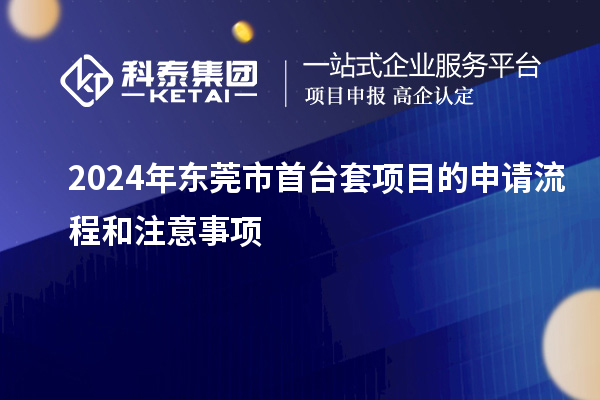 2024年东莞市首台套项目的申请流程和注意事项