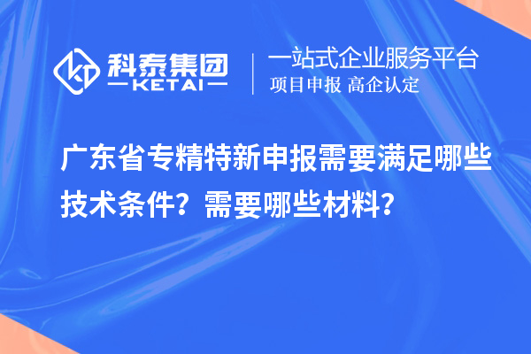 广东省
需要满足哪些技术条件？需要哪些材料？