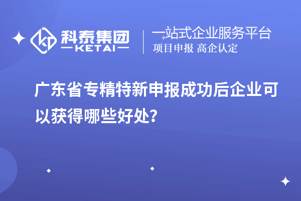 广东省
成功后企业可以获得哪些好处？