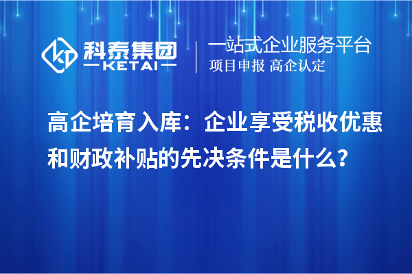 高企培育入库：企业享受税收优惠和财政补贴的先决条件是什么？