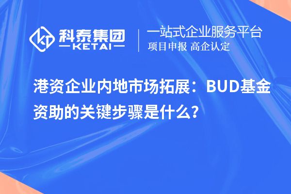 港资企业内地市场拓展：BUD基金资助的关键步骤是什么？