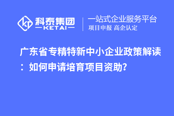 广东省专精特新中小企业政策解读：如何申请培育项目资助？