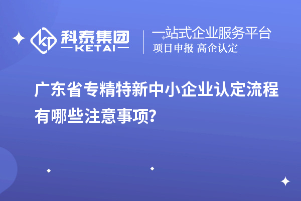 广东省专精特新中小企业认定流程有哪些注意事项？