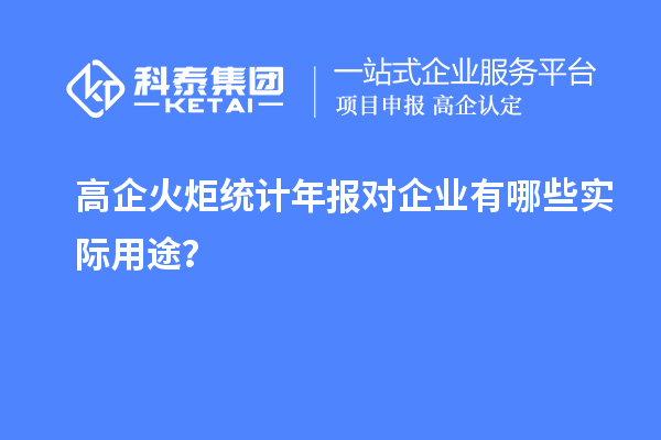 高企火炬统计年报对企业有哪些实际用途？