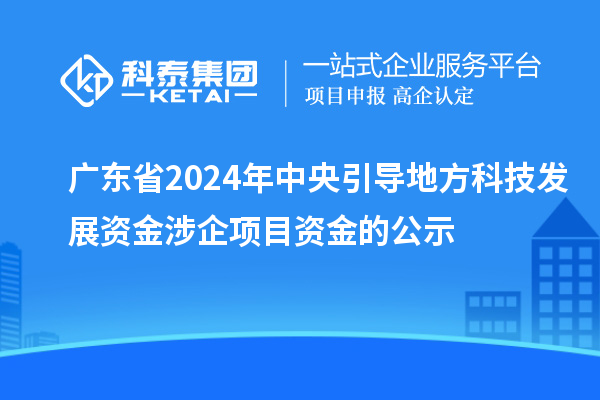 广东省2024年中央引导地方科技发展资金涉企项目资金的公示