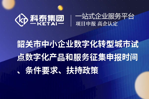 韶关市中小企业数字化转型城市试点数字化产品和服务征集申报时间、条件要求、扶持政策