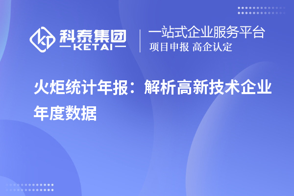 火炬统计年报：解析高新技术企业年度数据