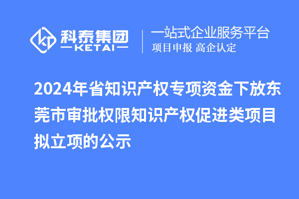 2024年省知识产权专项资金下放东莞市审批权限知识产权促进类项目拟立项的公示