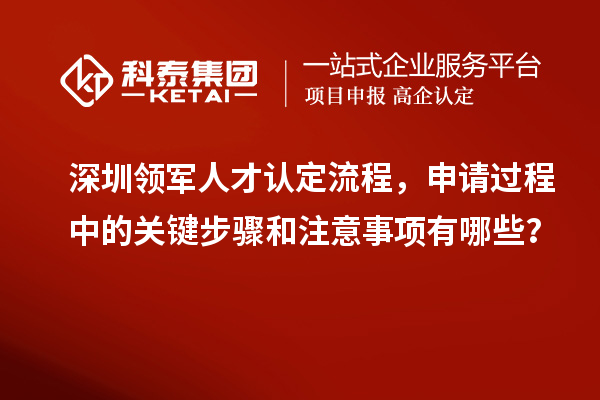 深圳领军人才认定流程，申请过程中的关键步骤和注意事项有哪些？