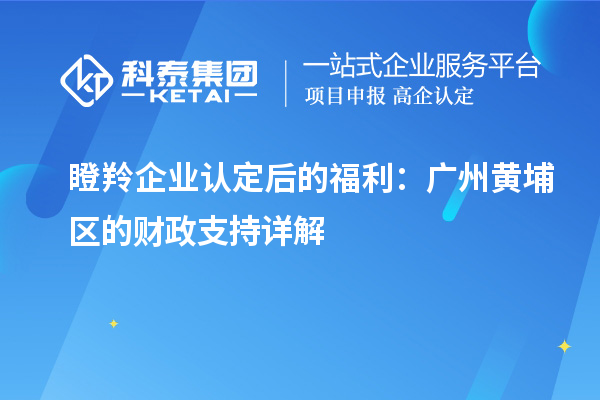 瞪羚企业认定后的福利：广州黄埔区的财政支持详解