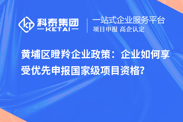 黄埔区瞪羚企业政策：企业如何享受优先申报国家级项目资格？