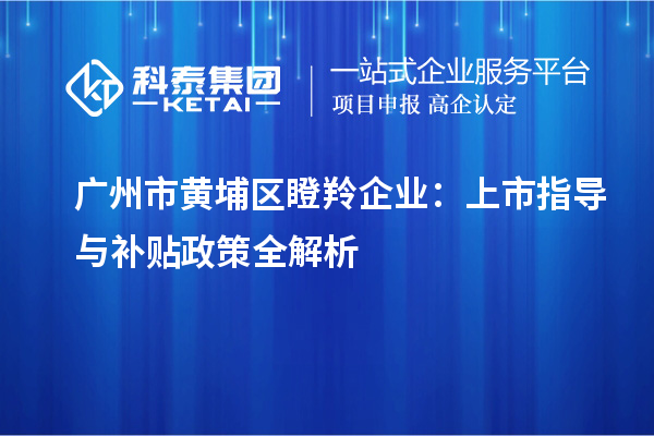 广州市黄埔区瞪羚企业：上市指导与补贴政策全解析