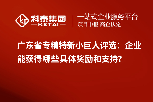 广东省专精特新小巨人评选：企业能获得哪些具体奖励和支持？