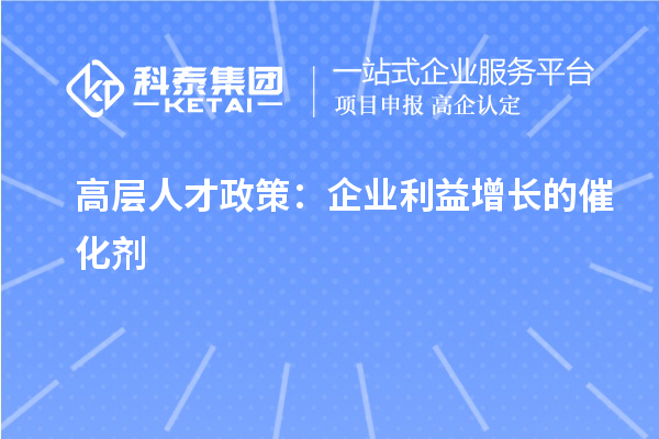 高层人才政策：企业利益增长的催化剂