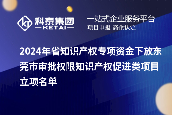 2024年省知识产权专项资金下放东莞市审批权限知识产权促进类项目立项名单