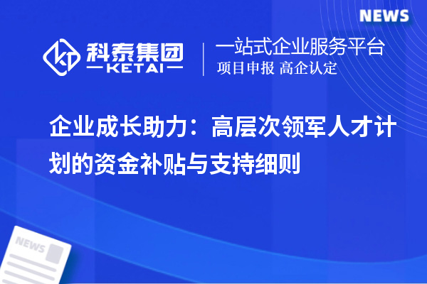 企业成长助力：高层次领军人才计划的资金补贴与支持细则